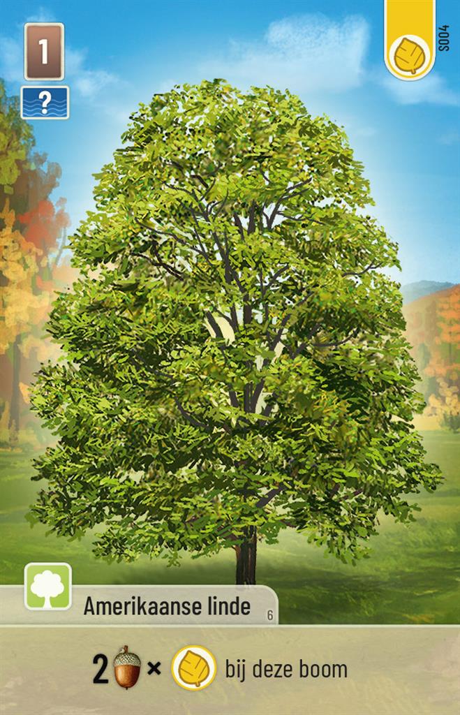 Forest Shuffle - Smoky Mountains - Afbeelding 3