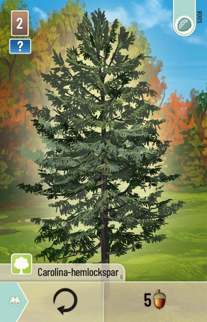 Forest Shuffle - Smoky Mountains - Afbeelding 4